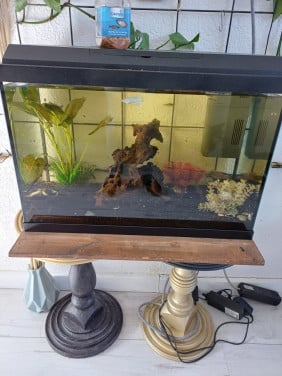 Aquarium