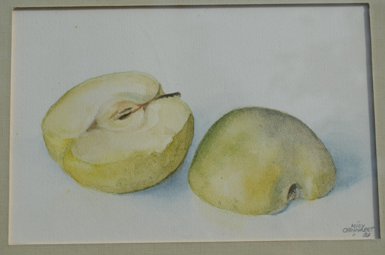 Aquarel 'Appel' Milly Cammaert '83 in goede staat.