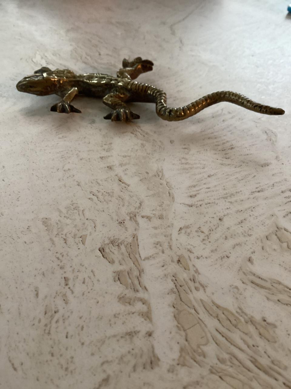 Koperen krokodil en salamander