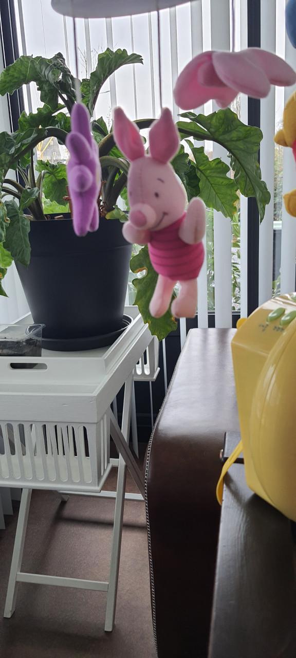 Muziek mobiele Winnie de Poeh⁶