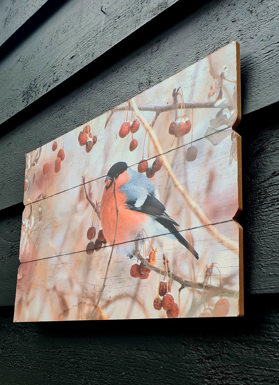 Herfst/winter afbeelding op hout; vogeltje met rode besjes
