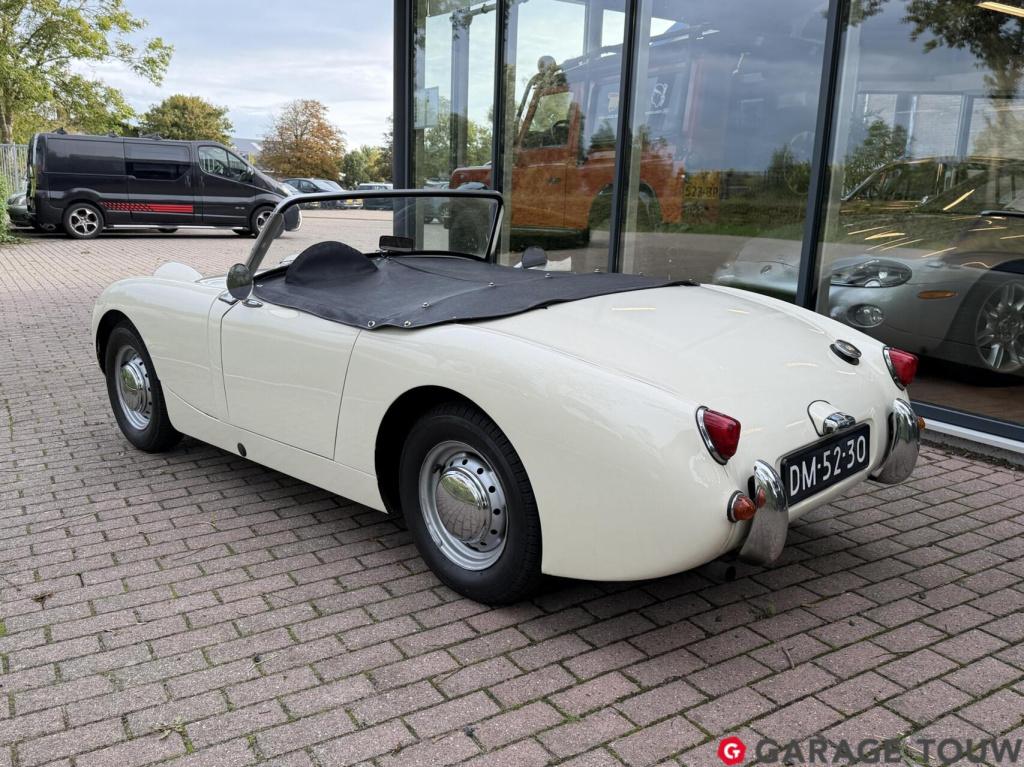 Austin Healey Onbekend sprite mk1 frogeye