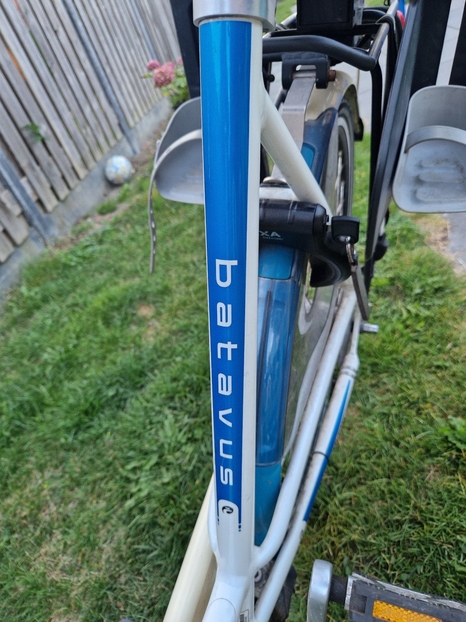 Dames fiets