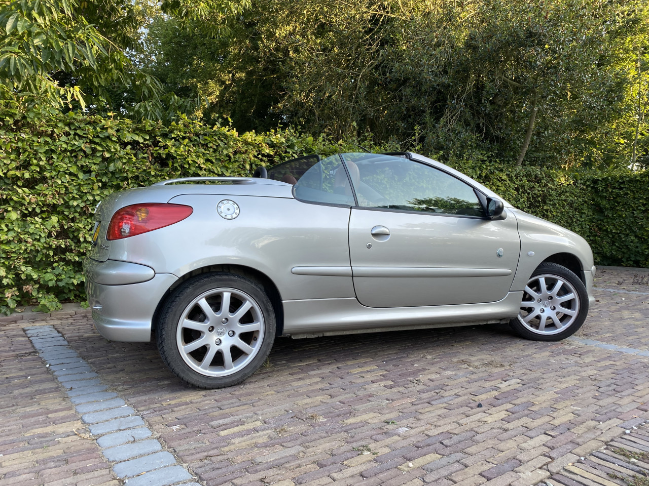 Leuke Peugeot 206 cc Roland G. | NW APK
