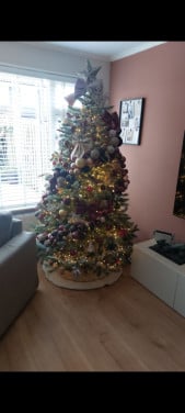 Triumph Tree kerstboom – Forest Frosted Pine (215 cm)