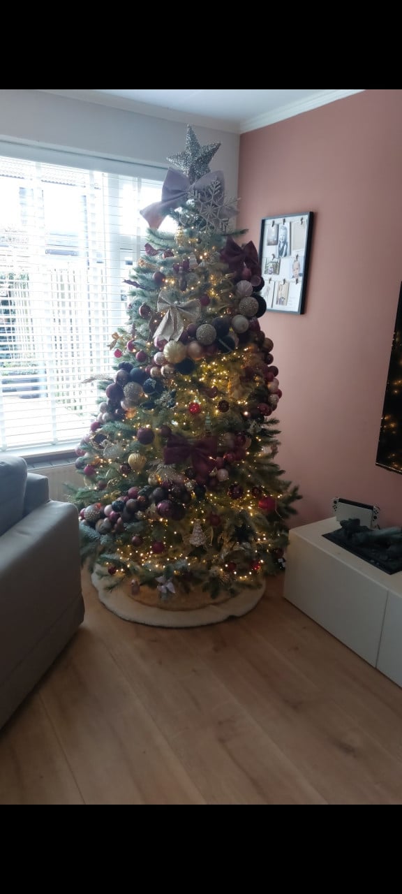 Triumph Tree kerstboom – Forest Frosted Pine (215 cm)