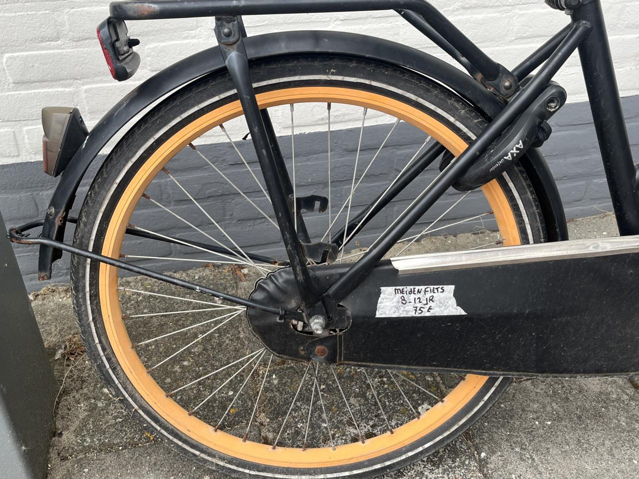 Leuke popal Meiden fiets