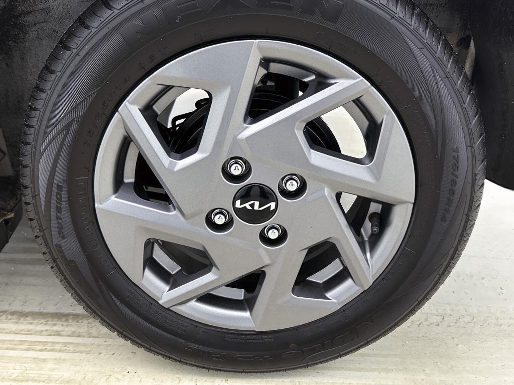 Kia Picanto 1.0 dpi dynamicplusline | nap | btw | apple carplay