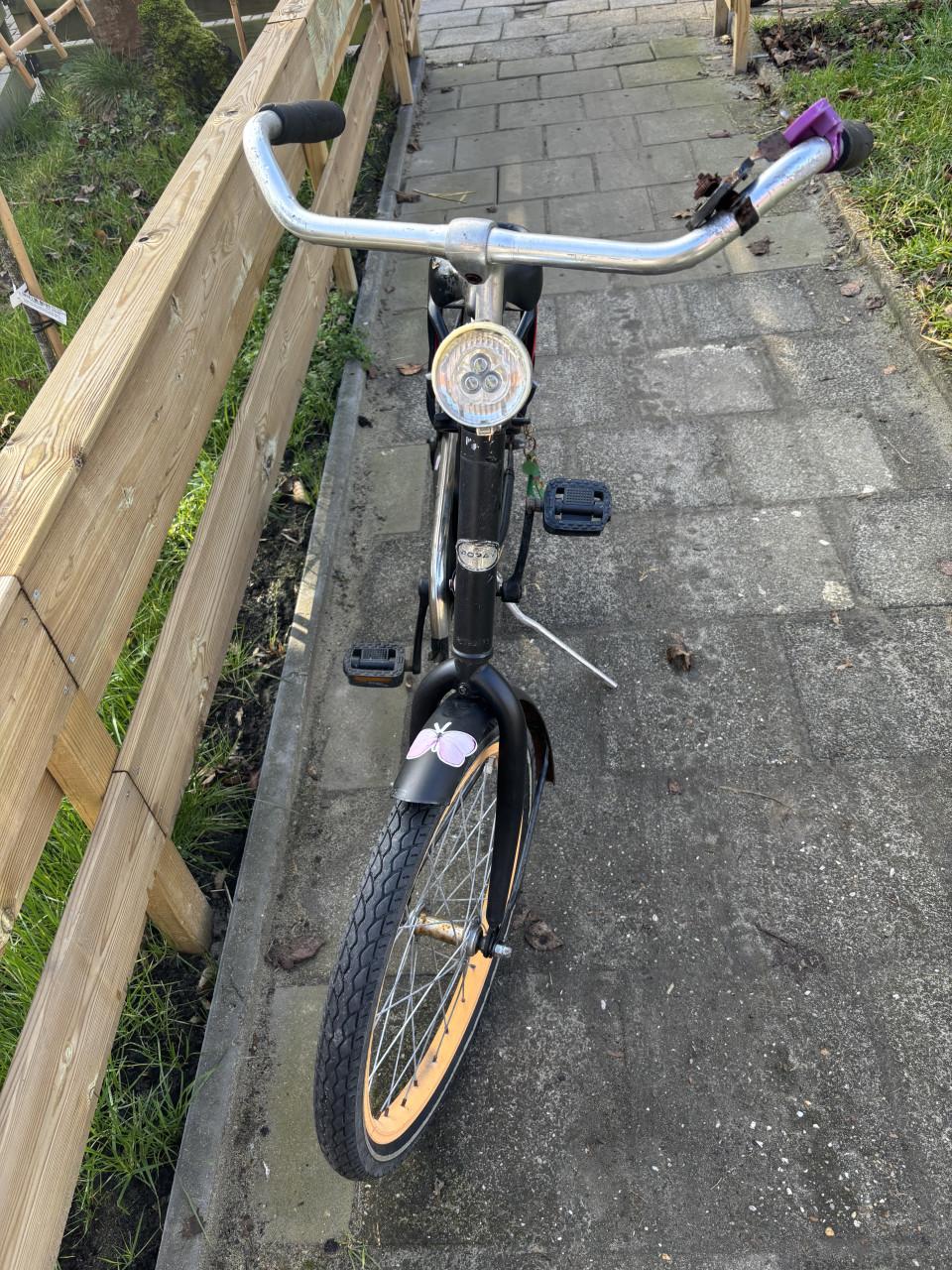 Meisjesfiets 20 inch