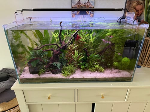 Compleet aquarium te koop Cristal Profi