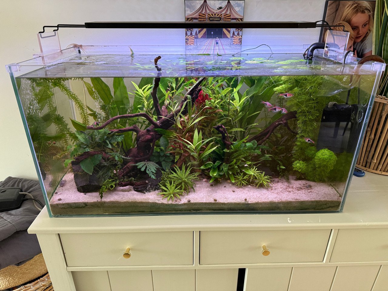 Compleet aquarium te koop Cristal Profi