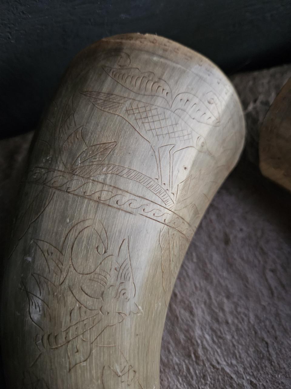 2 prachtige grote waterbuffel hoorns voor decoratief gebruik