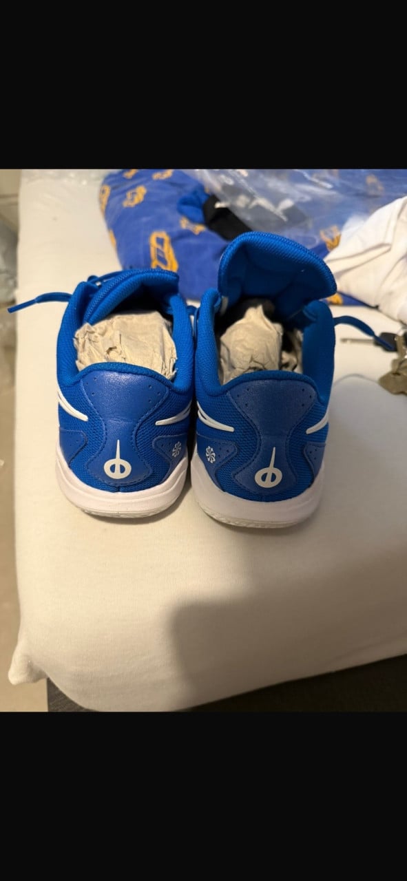 Zaalschoenen nike