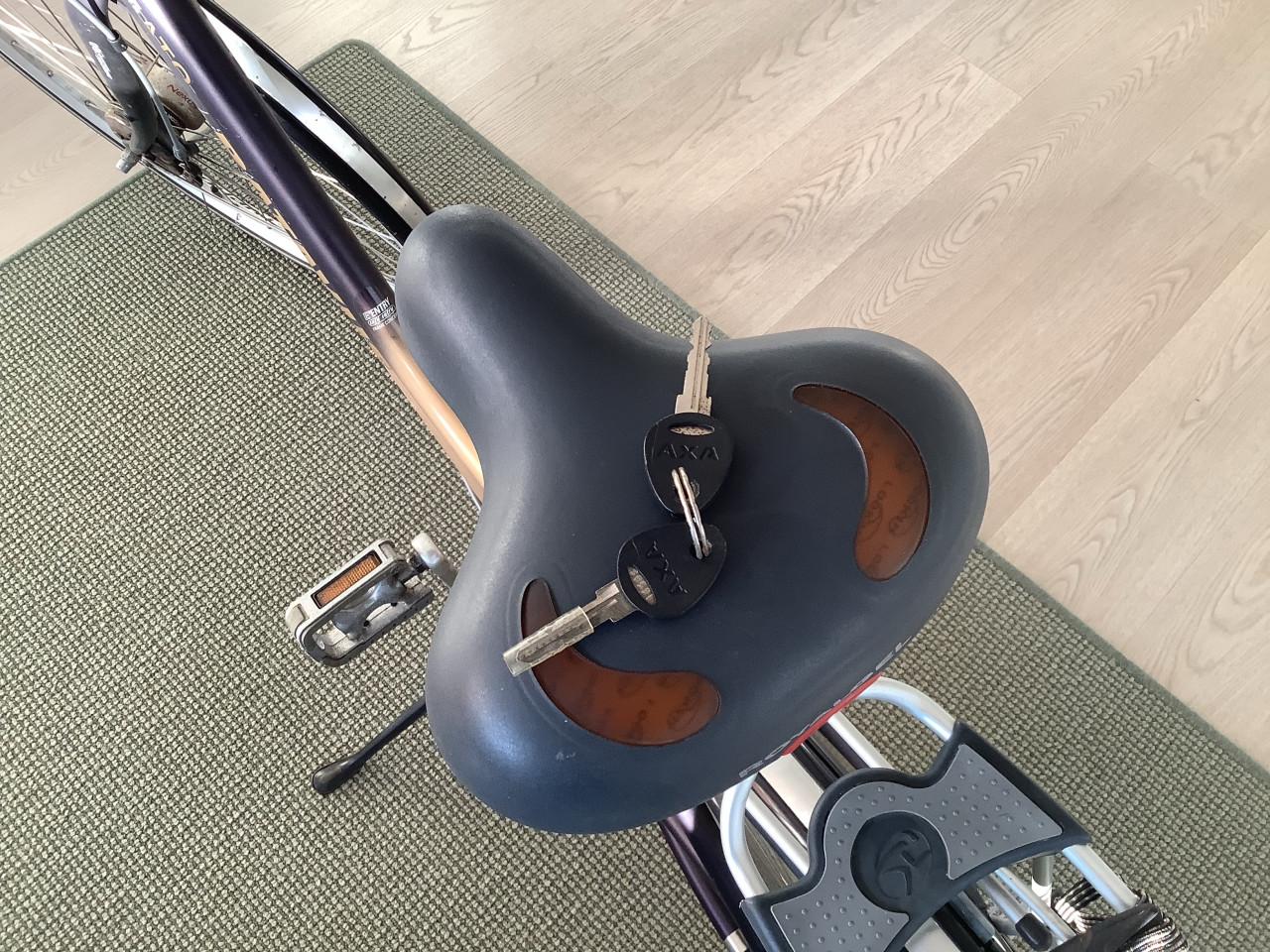 Keurige Batavus Legato