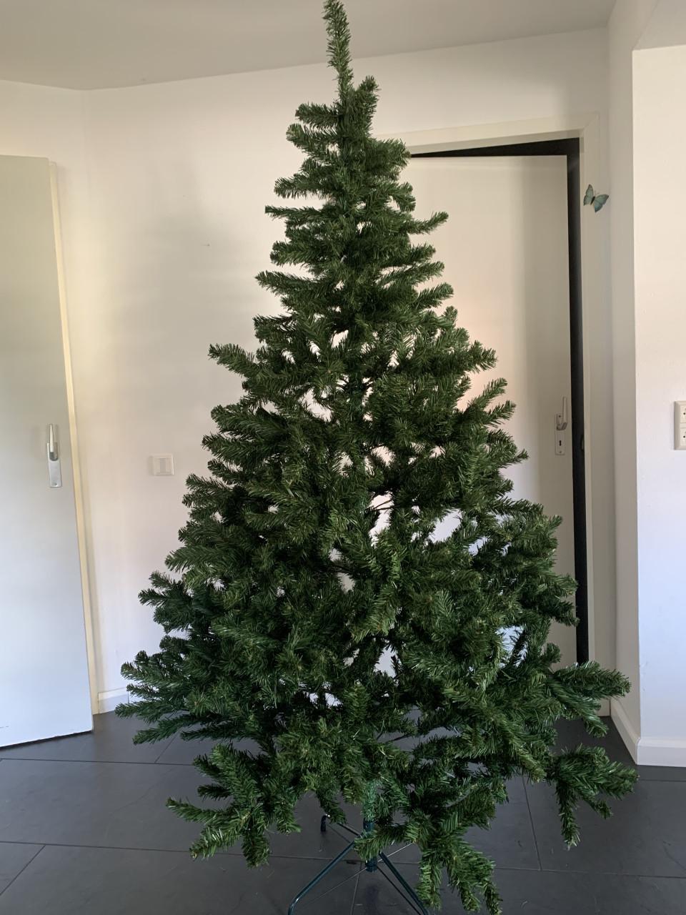 Kerstboom 2.15 m.  Intratuin