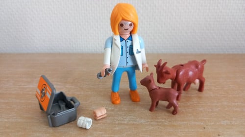 Playmobil dierenarts met instrumenten en geitjes