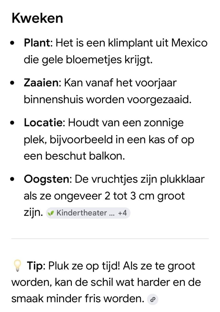 Muismeloen