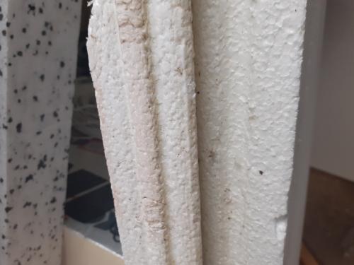 6 dikke platen tempex 120 x 195 x 10 voor 50 euro