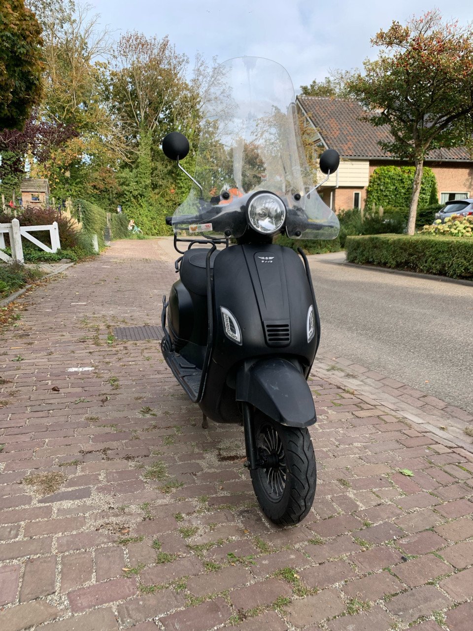 Djjd cashmere scooter 2021