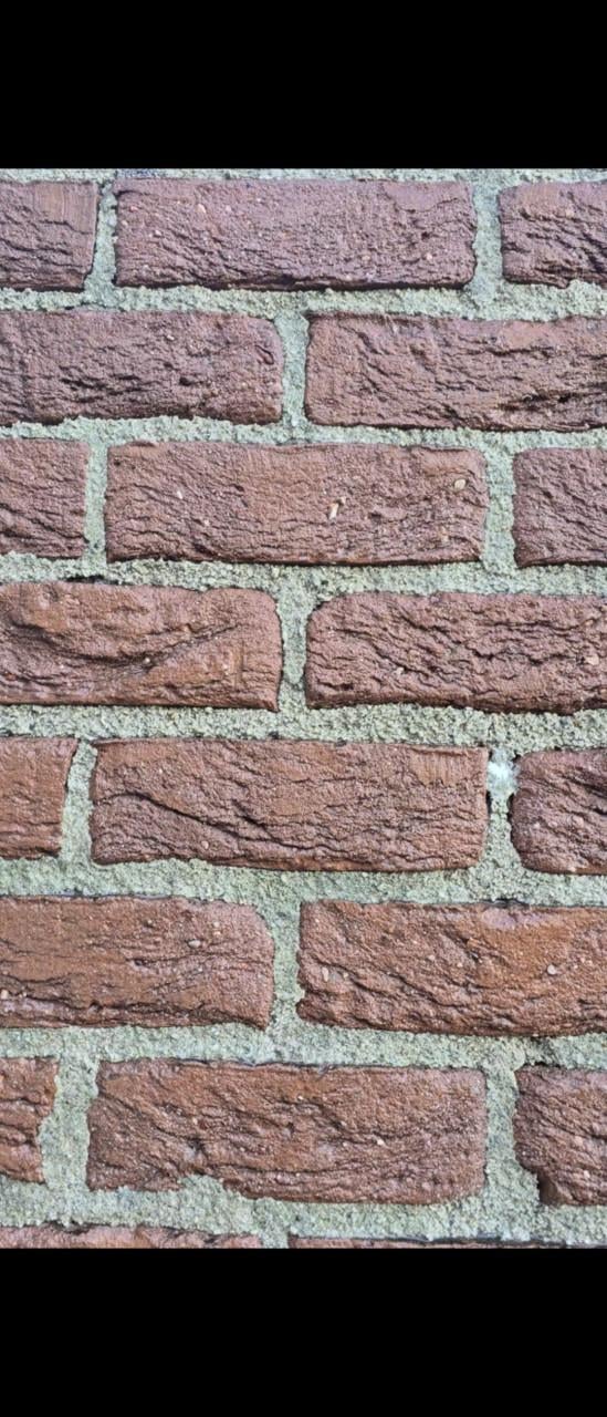 Wilt u professioneel iets laten reinigen of schoonmaken?