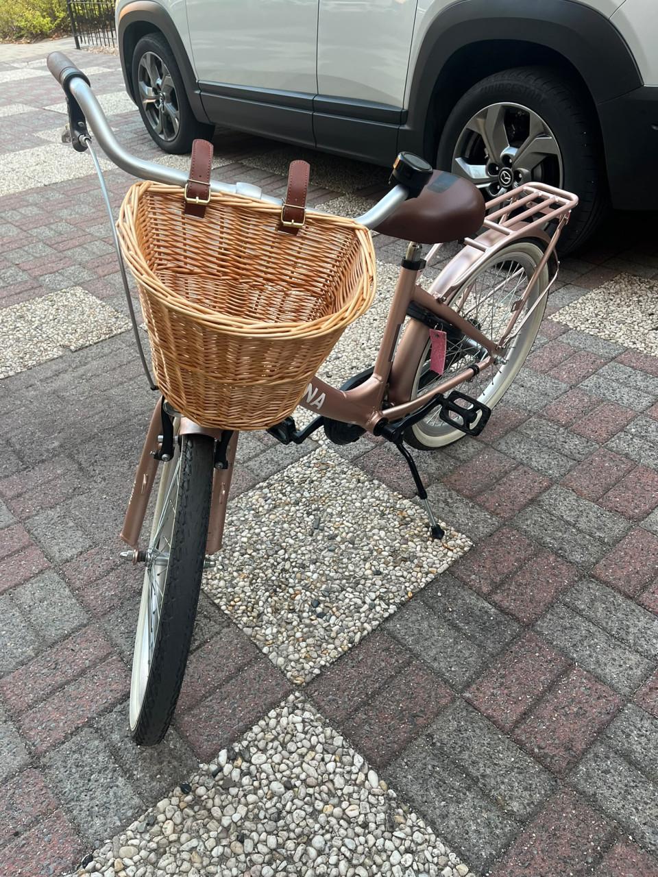 Meisjes fiets
