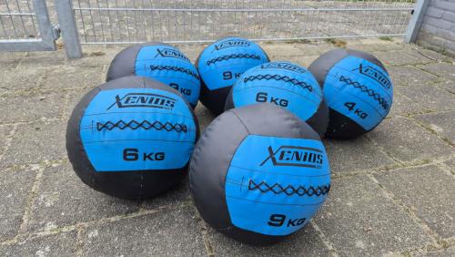 Wallball 4,6,9 kg