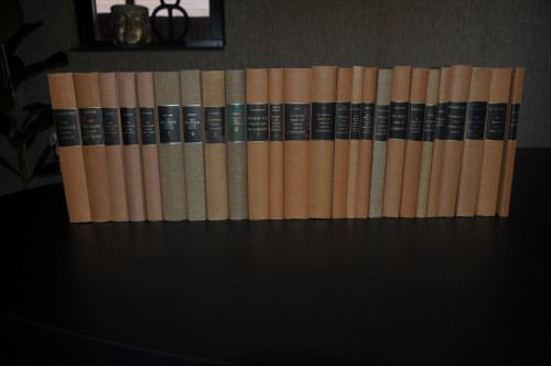 25 hardcover boeken. De Prediking van het Nieuwe Testament!