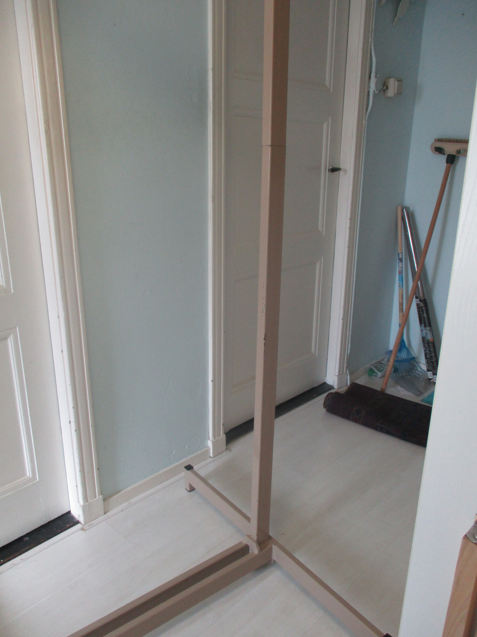 Te koop bed papegaai