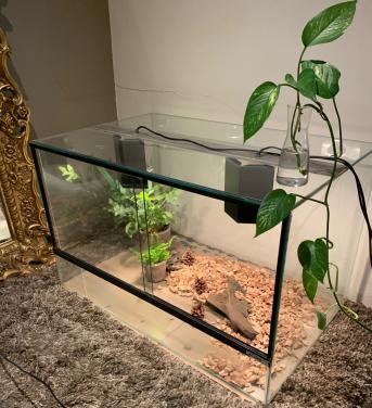 Terrarium
