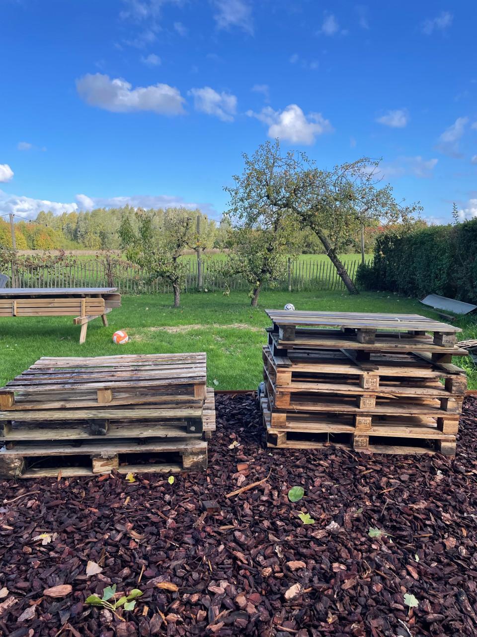 Pallets Gratis