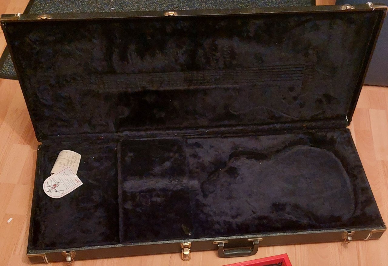 TE KOOP : GODIN GITAAR KOFFER. nieuw! 75 euro
