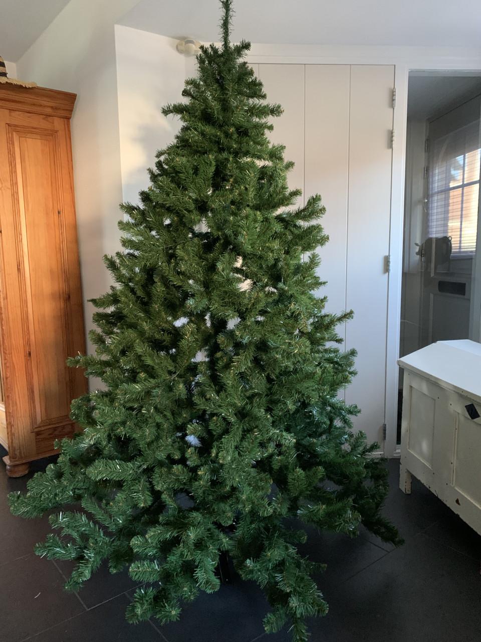 Kerstboom  2.10 m hoog.  Intratuin Triumph tree