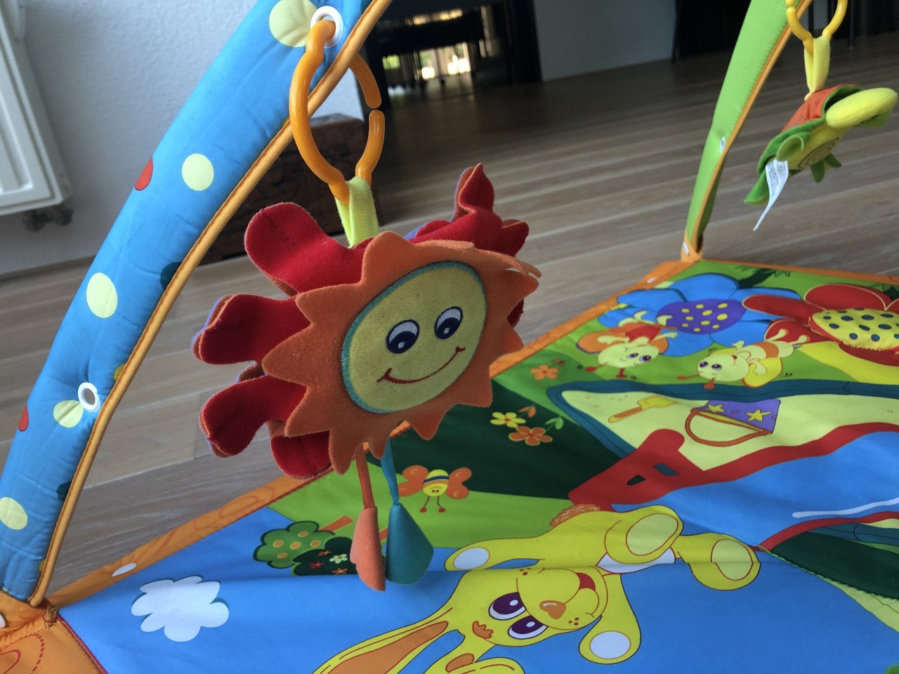 Baby gym Tiny Love