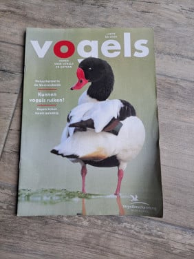 1x Vogels