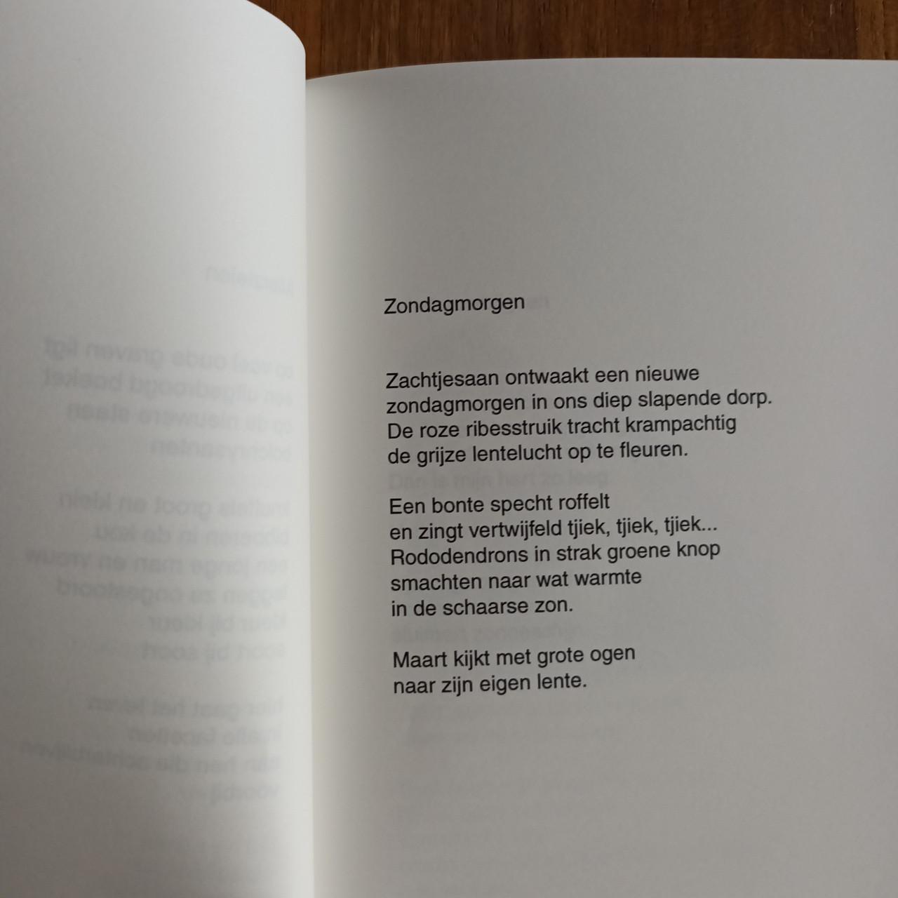 Poëtische ontmoetingen van Lutgarde Lievense-Nauts