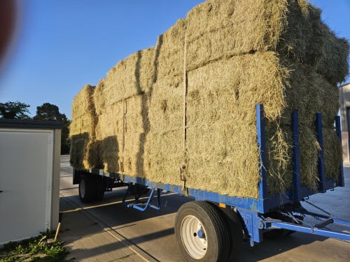 Weidehooi bundels en grote pakken