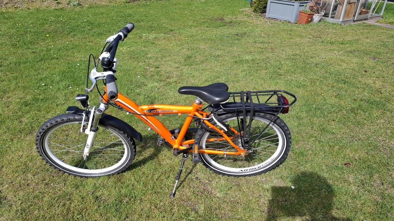 Batavus Snake 22 inch