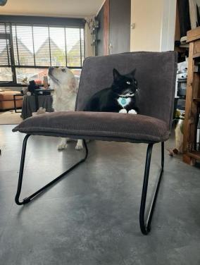 Fatteau Ribcord Stoel - Grijsbruin