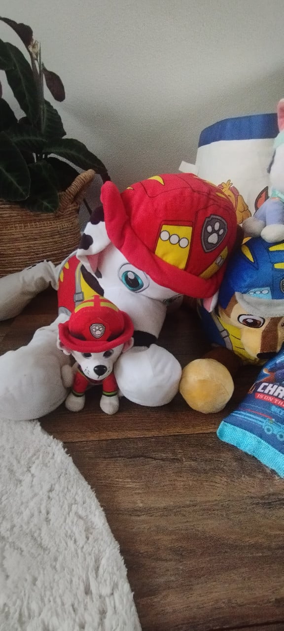 Paw Patrol knuffels