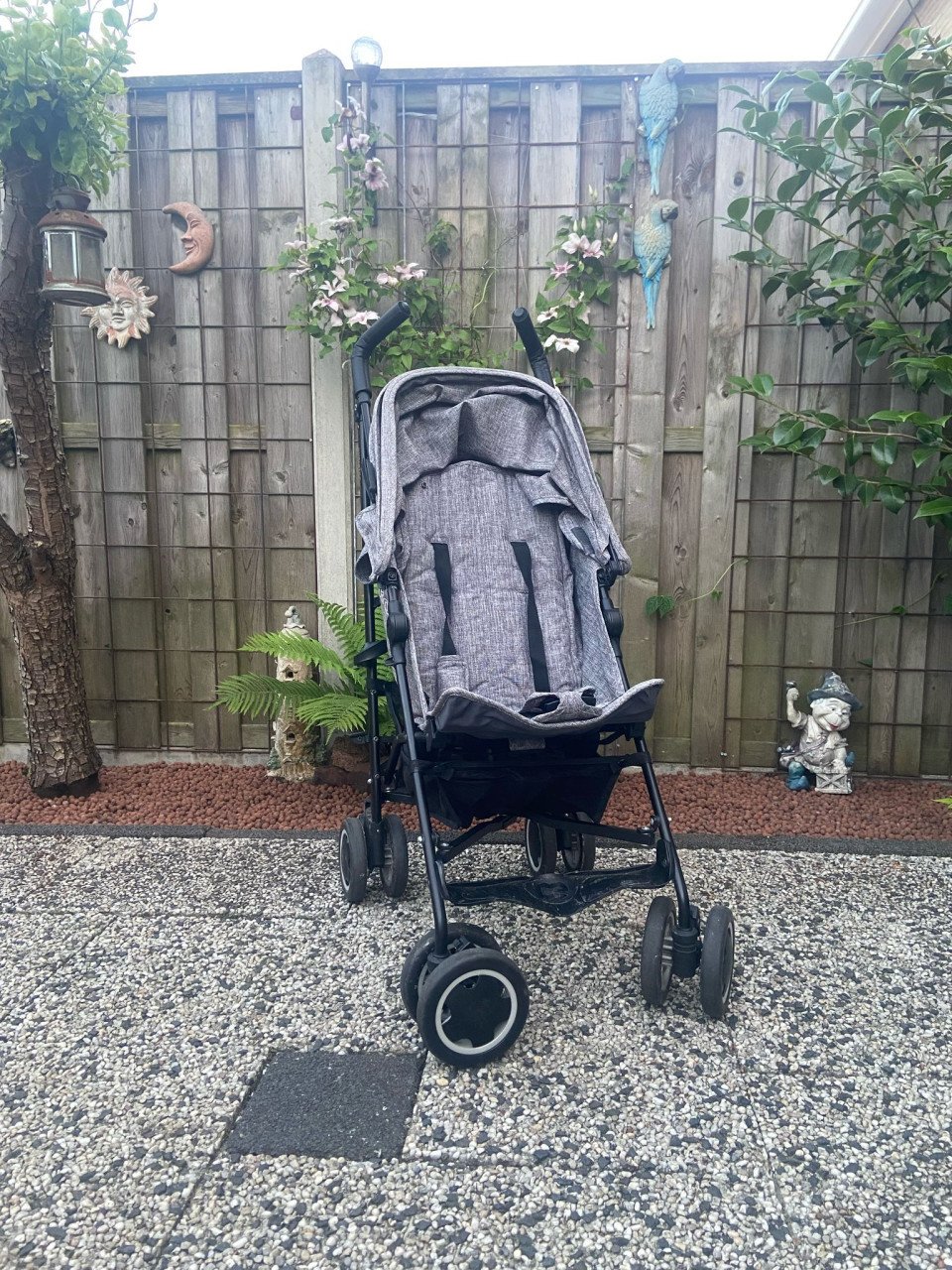 Te koop buggy