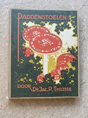 Paddenstoelen