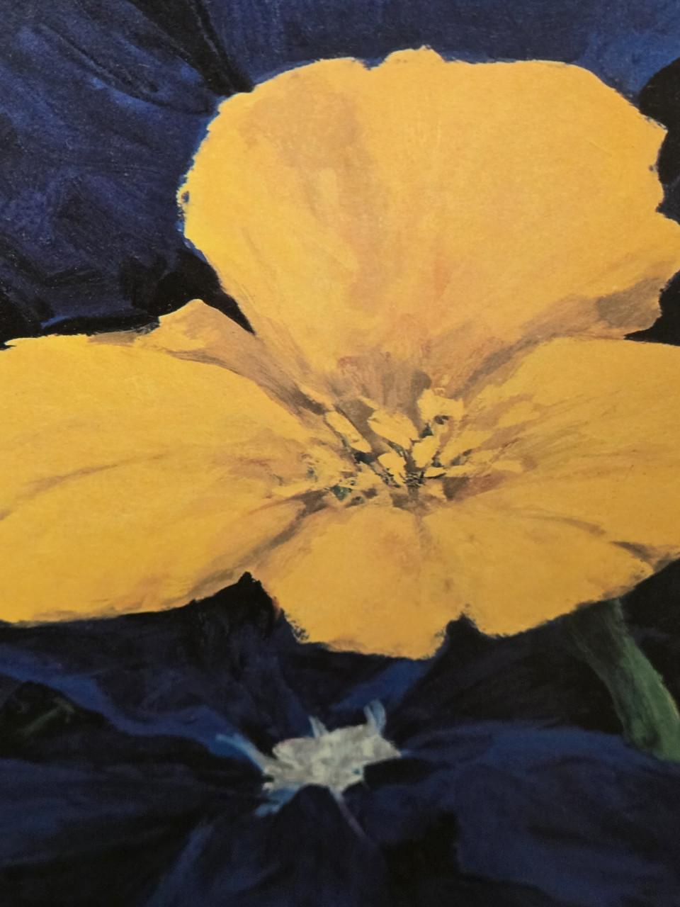 Print van "Sketch for a European flag" door Charles Belle. 196.5 x 59 cm