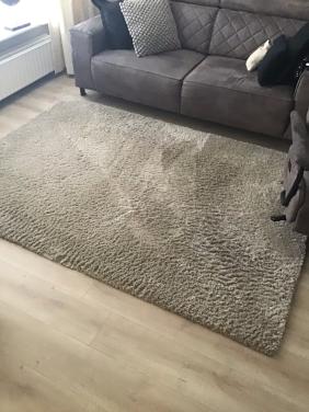 Bijna Gratis af te halen vloerkleed kleur taupe