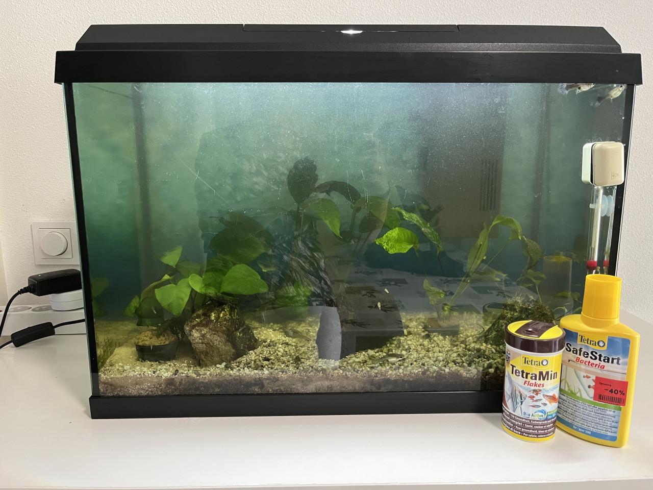 Aquarium