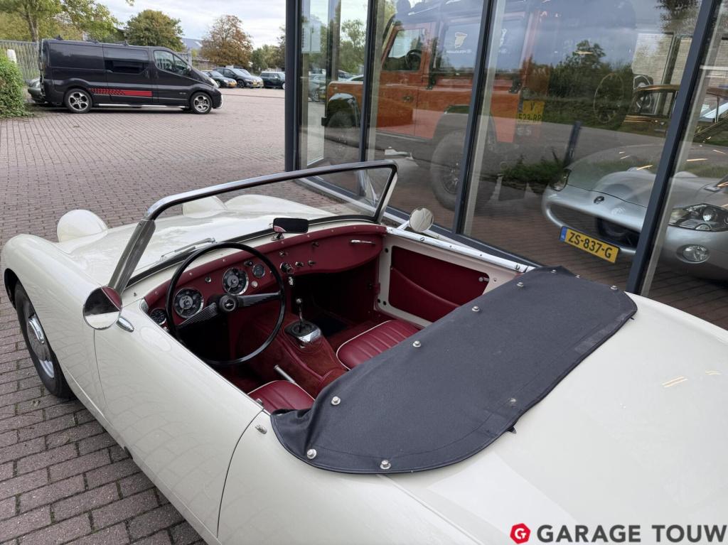 Austin Healey Onbekend sprite mk1 frogeye
