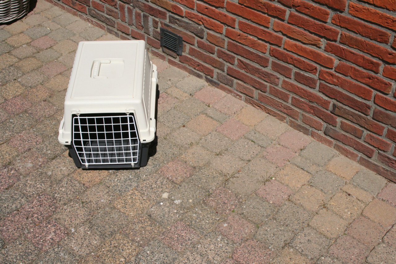 Transportbox en een kattenbak met een zak kattenbakvulling