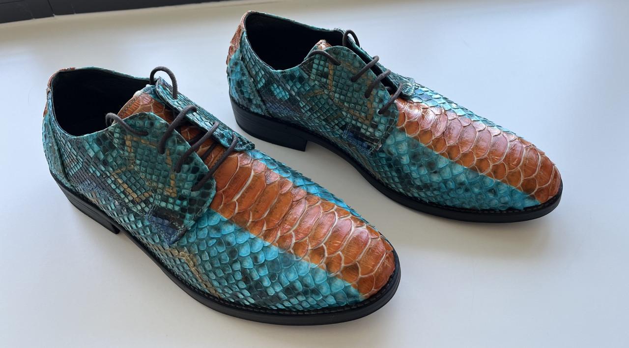 TE KOOP EXCLUSIEVE SCHOENEN ONGEDRAGEN