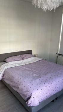 Bed (boxspring Cisano 160 x 200 cm)