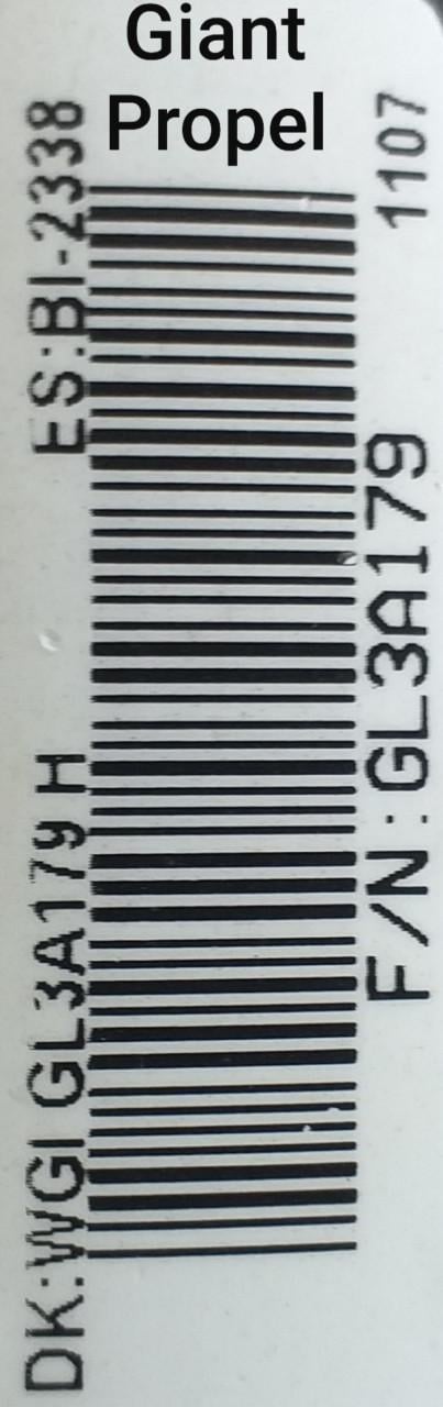 Giant Propel Advanced 2