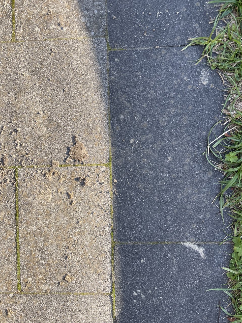 Betontegel 30x20x6